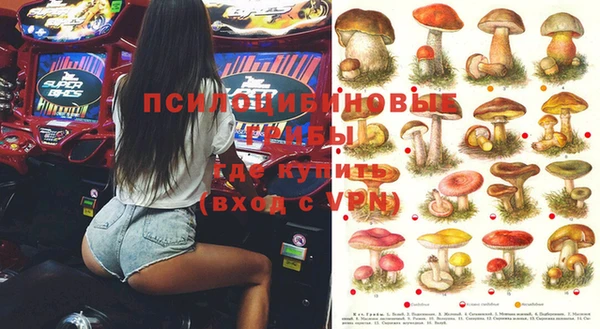 гашик Беломорск
