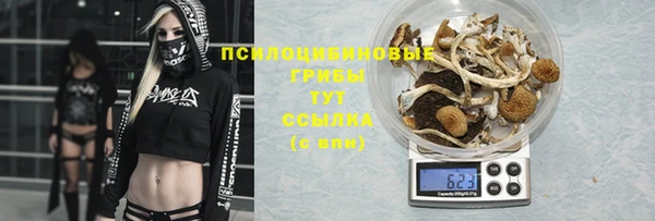гашик Беломорск