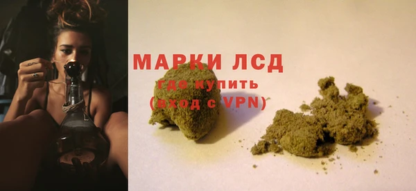 a pvp Белокуриха