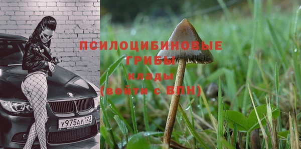 гашик Беломорск