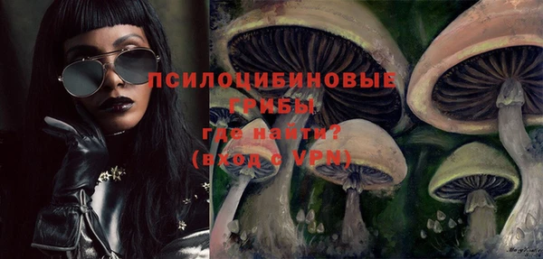 a pvp Белокуриха