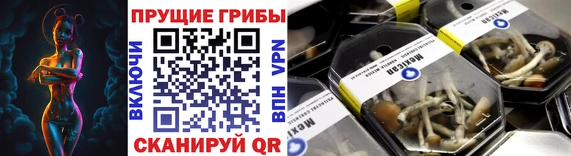 Галлюциногенные грибы GOLDEN TEACHER  где продают наркотики  Ворсма 